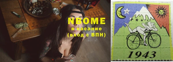 прущие грибы Майский