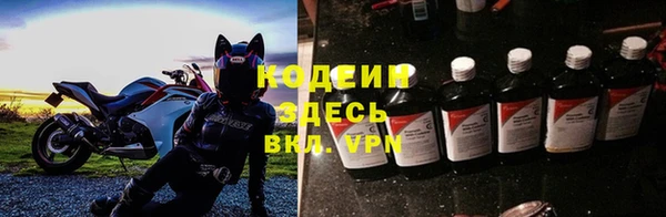 прущие грибы Майский