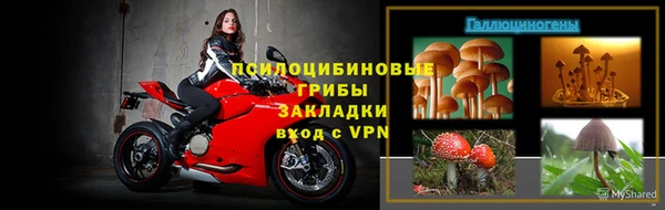 прущие грибы Майский